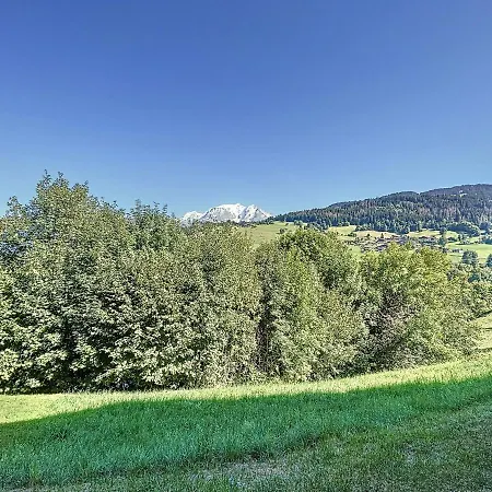 Apartment Studio Combloux, 1 Piece, 4 Personnes - Fr-1-560-111 Combloux
