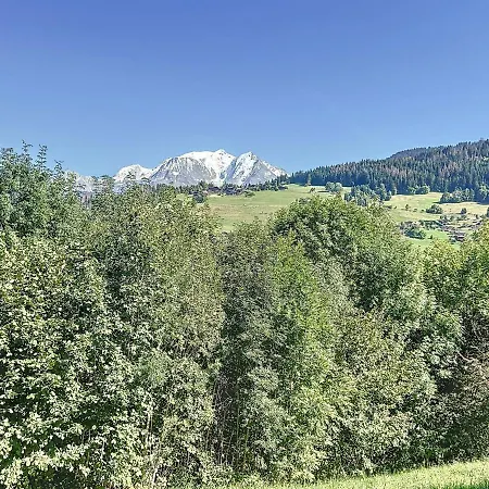 Studio Combloux, 1 Piece, 4 Personnes - Fr-1-560-111 Apartment