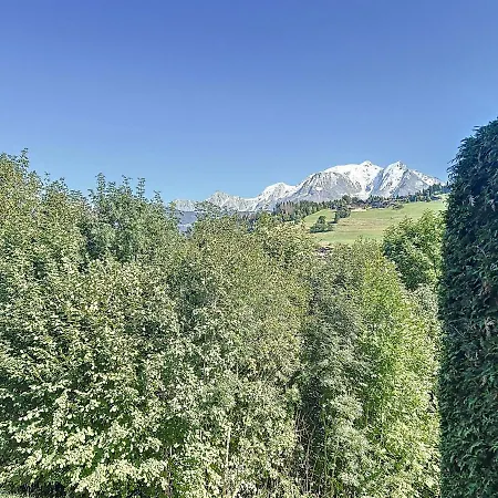 Studio Combloux, 1 Piece, 4 Personnes - Fr-1-560-111 Apartment Combloux
